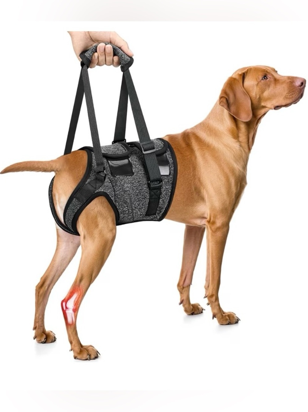 SlowTon Dog Lift Harness Rear Leg Support Sling Small Grey New